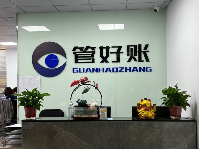 徐建,公司经营范围包括:财务咨询服务;代理记账服务;企业登记代理服务